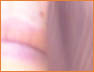 CPark2