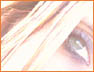 SunMe7